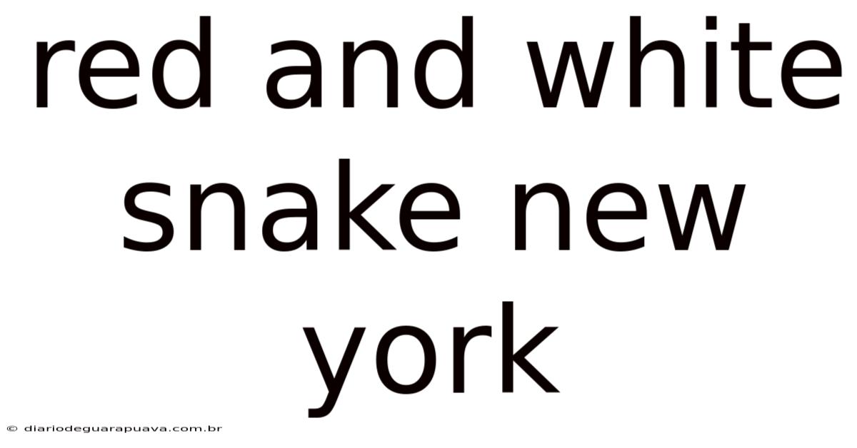 Red And White Snake New York