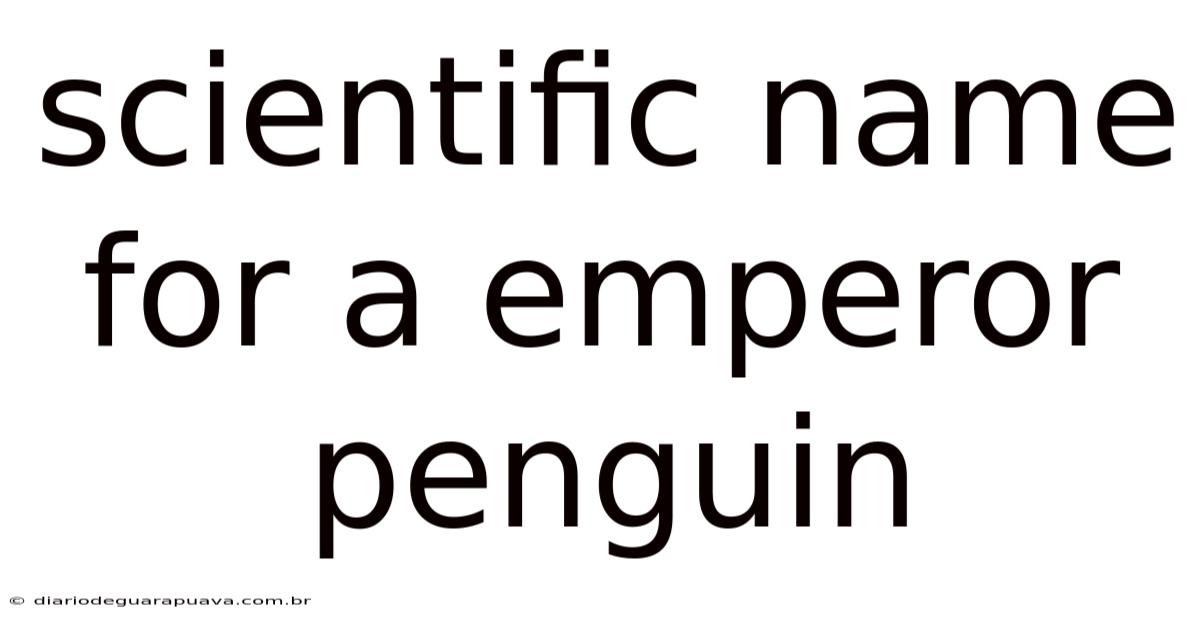 Scientific Name For A Emperor Penguin