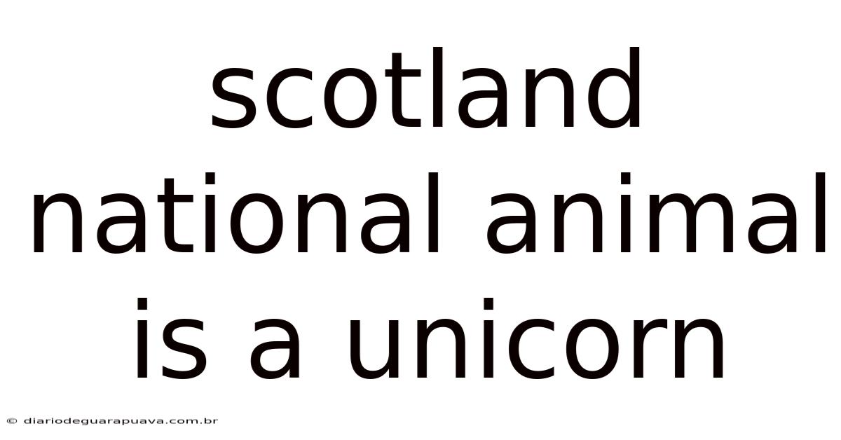 Scotland National Animal Is A Unicorn