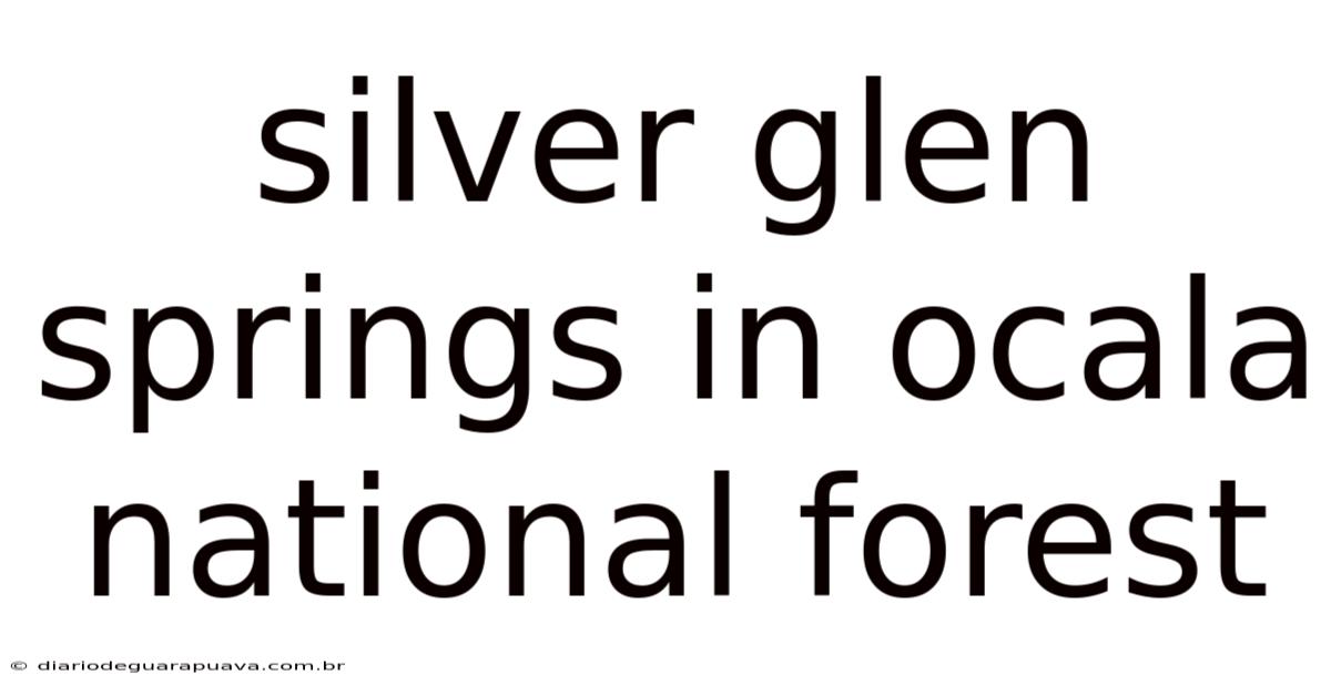 Silver Glen Springs In Ocala National Forest