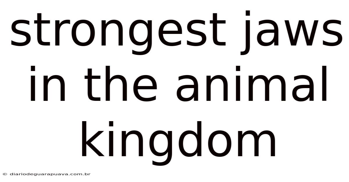 Strongest Jaws In The Animal Kingdom