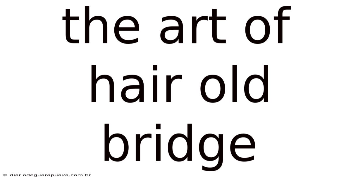 The Art Of Hair Old Bridge