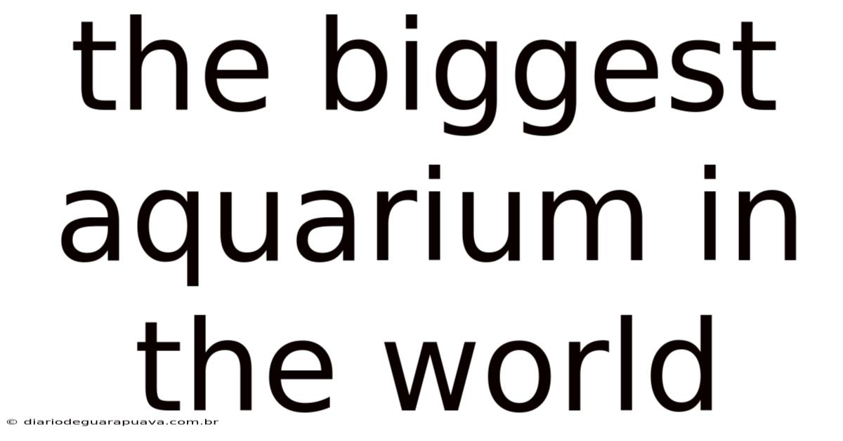 The Biggest Aquarium In The World
