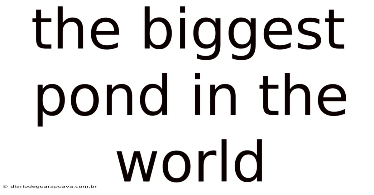 The Biggest Pond In The World