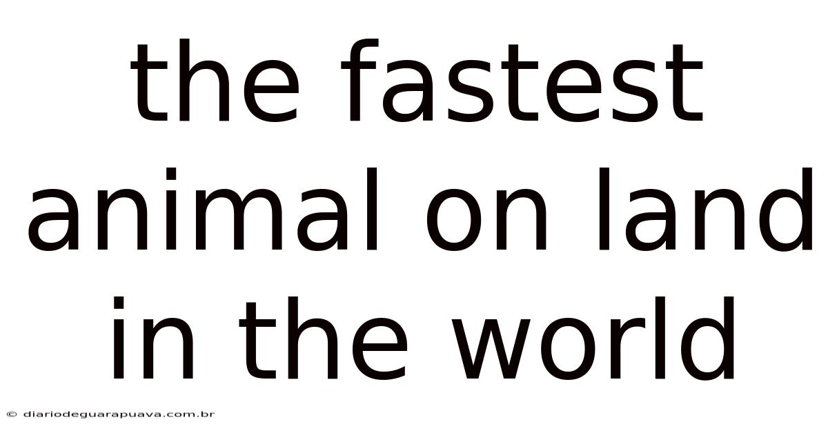 The Fastest Animal On Land In The World