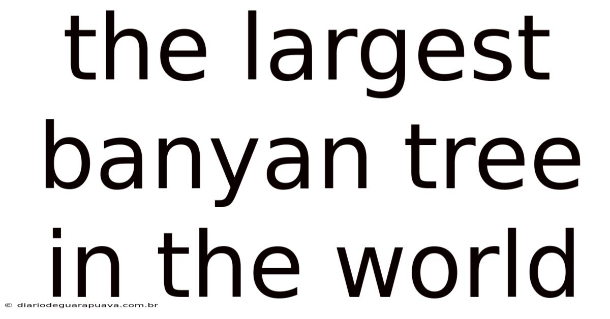 The Largest Banyan Tree In The World