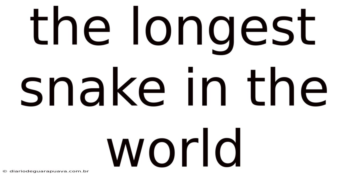 The Longest Snake In The World