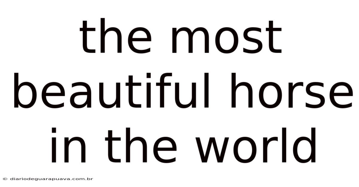 The Most Beautiful Horse In The World