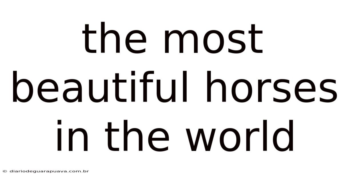 The Most Beautiful Horses In The World