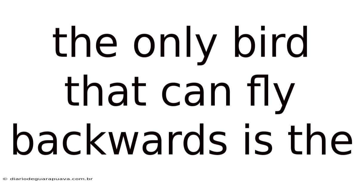 The Only Bird That Can Fly Backwards Is The
