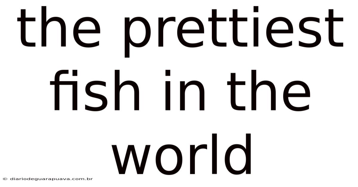 The Prettiest Fish In The World