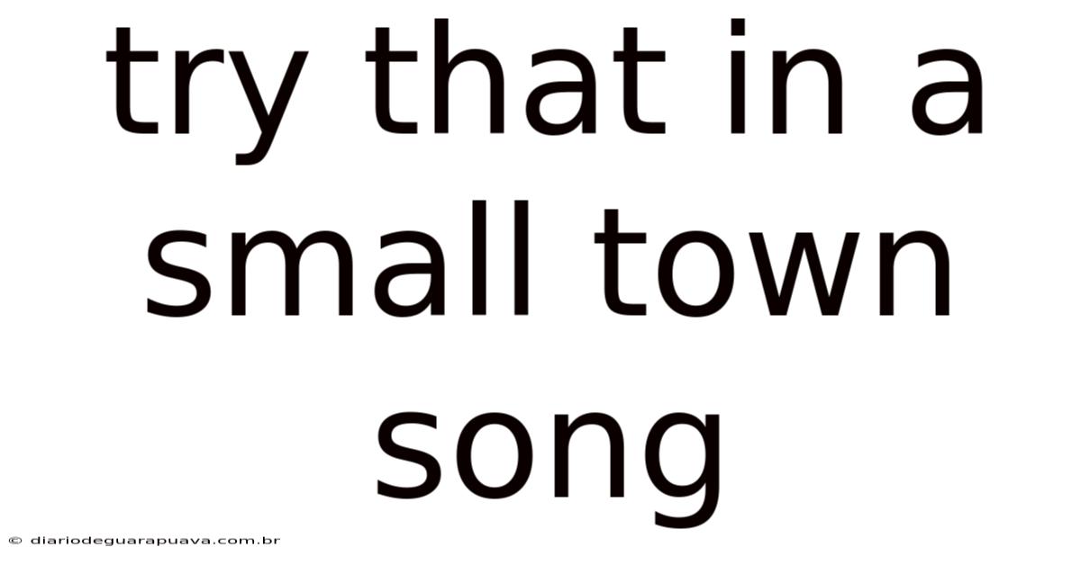 Try That In A Small Town Song