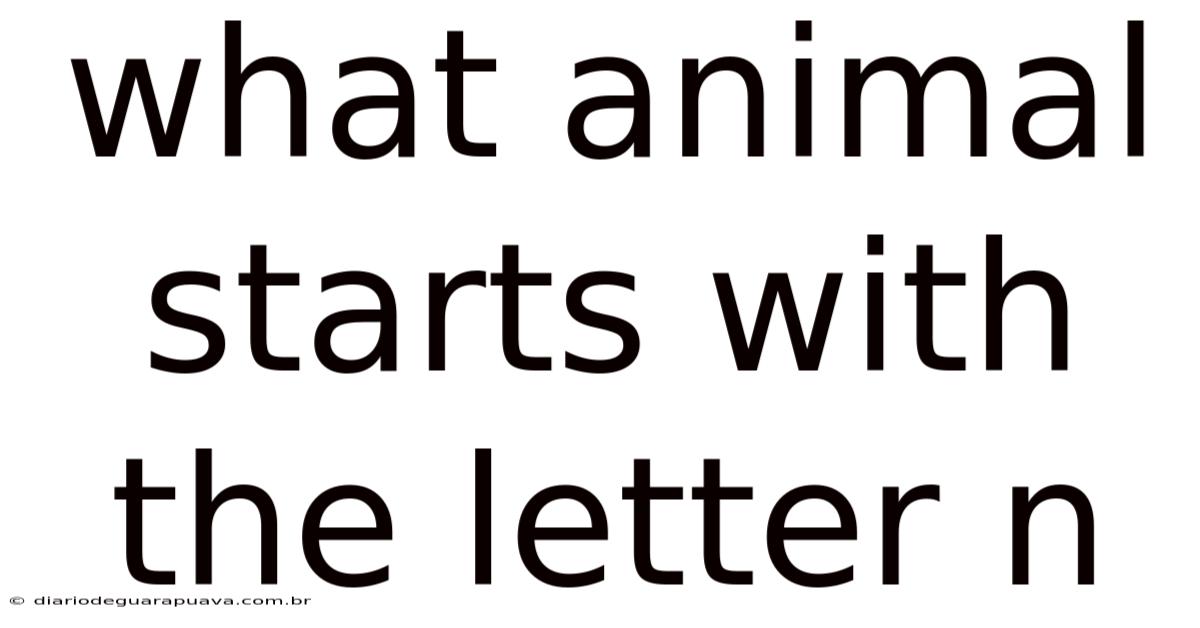 What Animal Starts With The Letter N