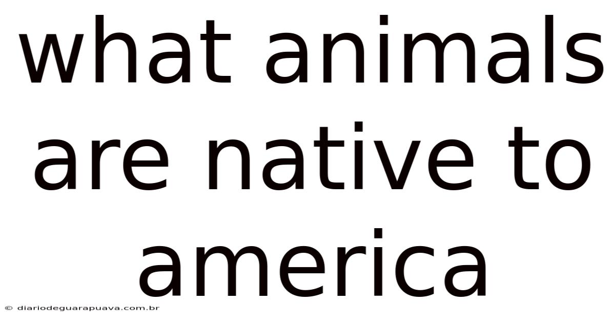 What Animals Are Native To America