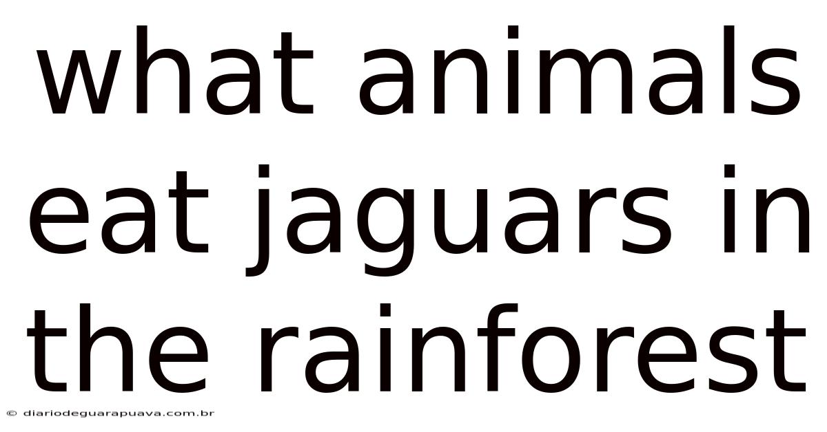 What Animals Eat Jaguars In The Rainforest