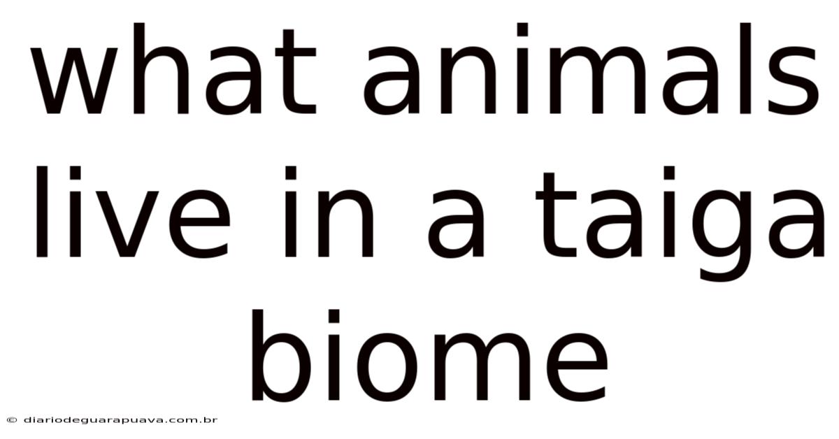 What Animals Live In A Taiga Biome