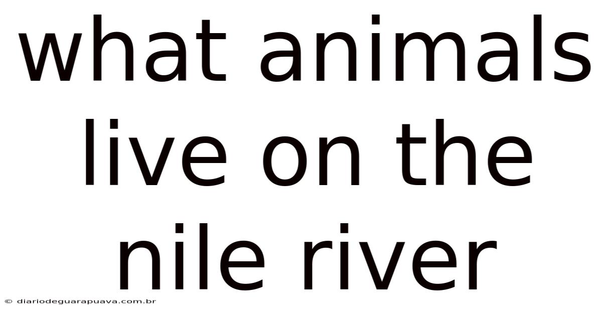 What Animals Live On The Nile River