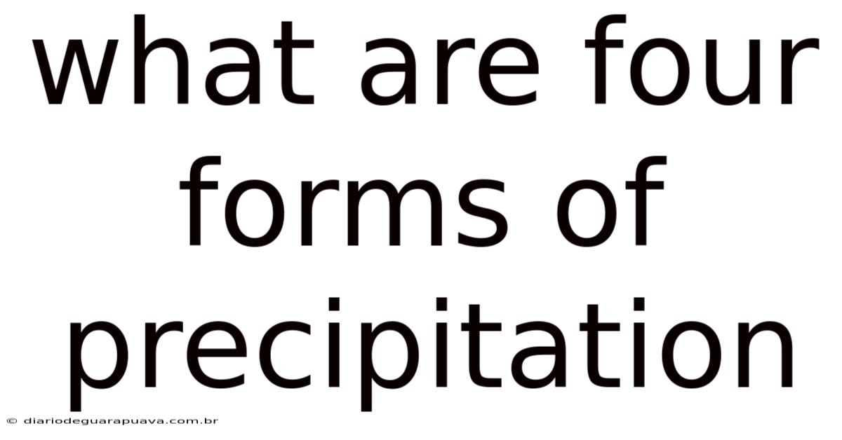 What Are Four Forms Of Precipitation