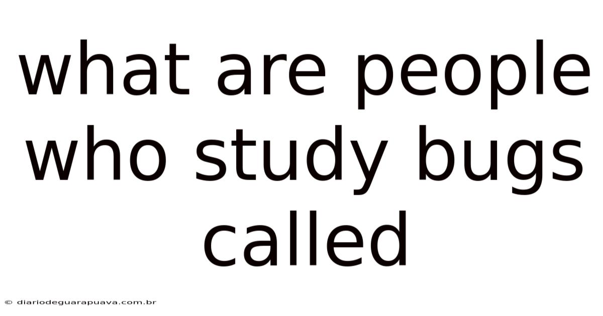 What Are People Who Study Bugs Called