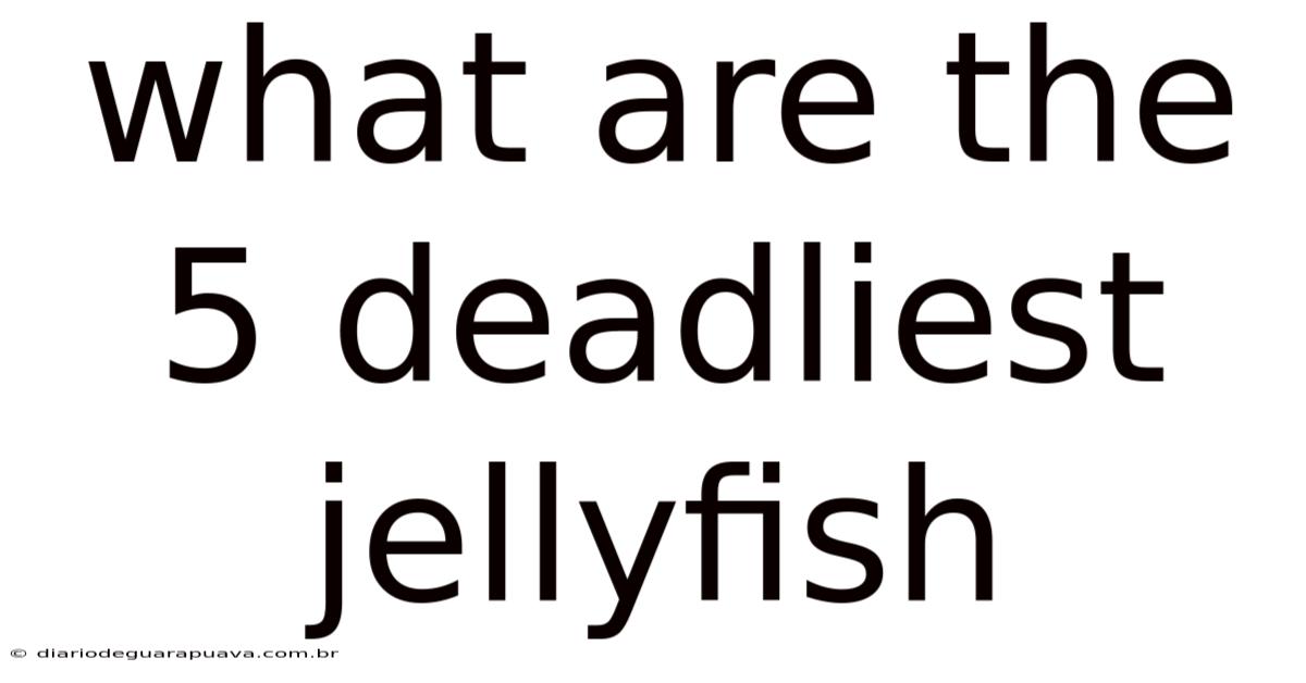 What Are The 5 Deadliest Jellyfish
