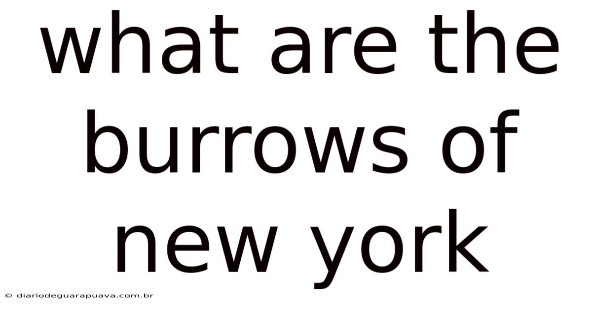 What Are The Burrows Of New York