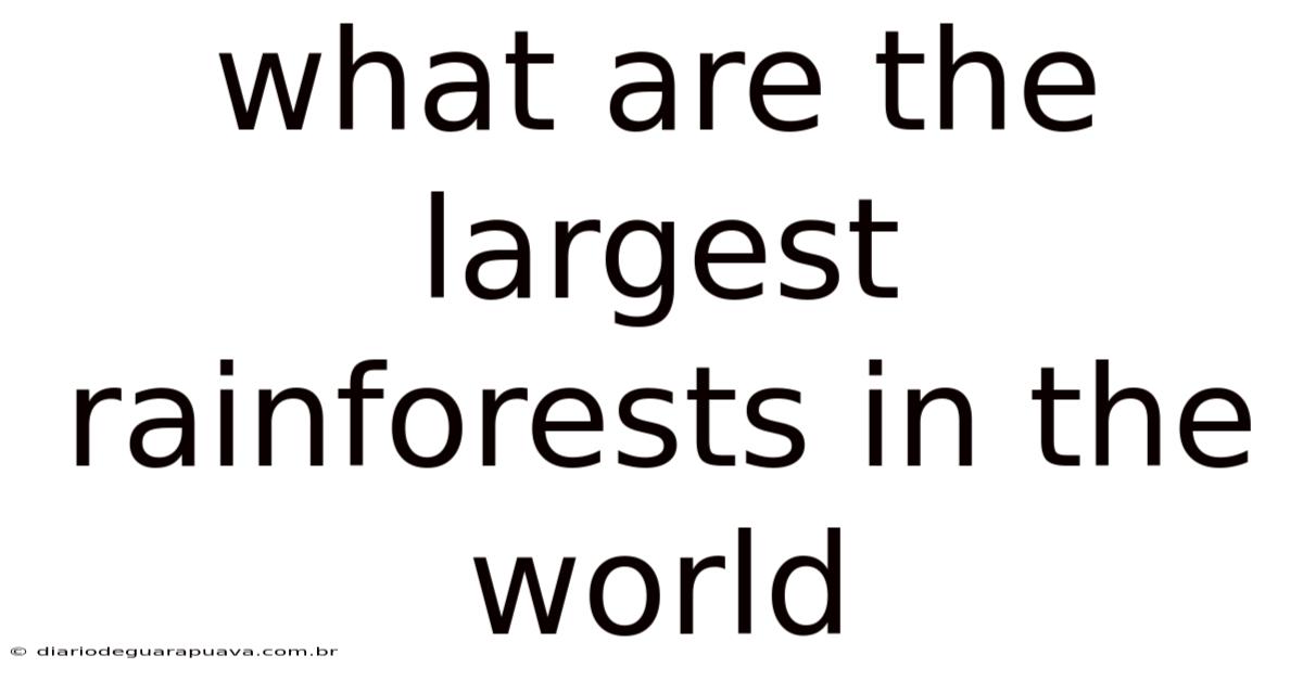 What Are The Largest Rainforests In The World