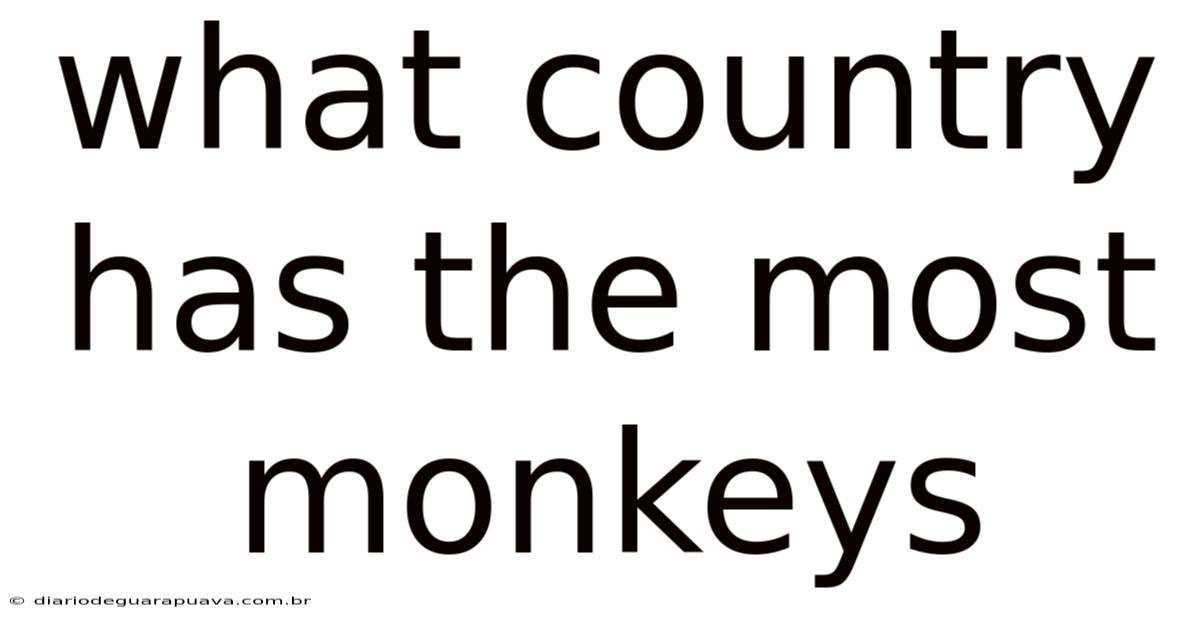 What Country Has The Most Monkeys