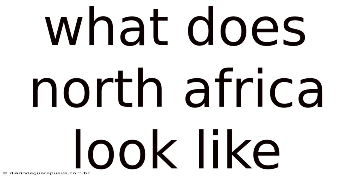 What Does North Africa Look Like