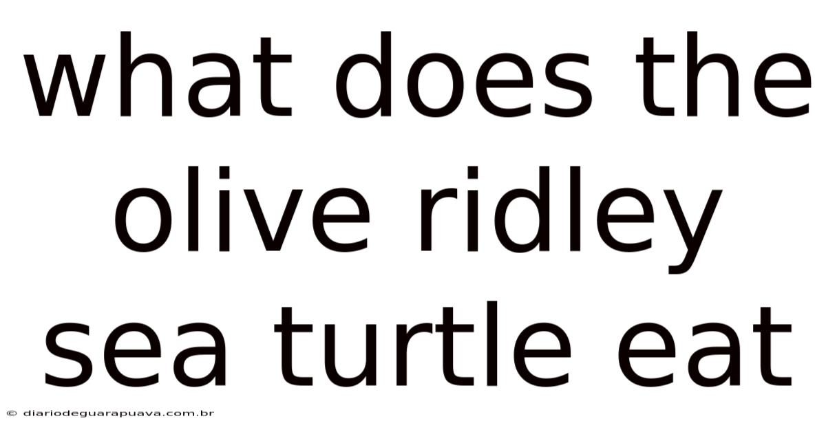 What Does The Olive Ridley Sea Turtle Eat