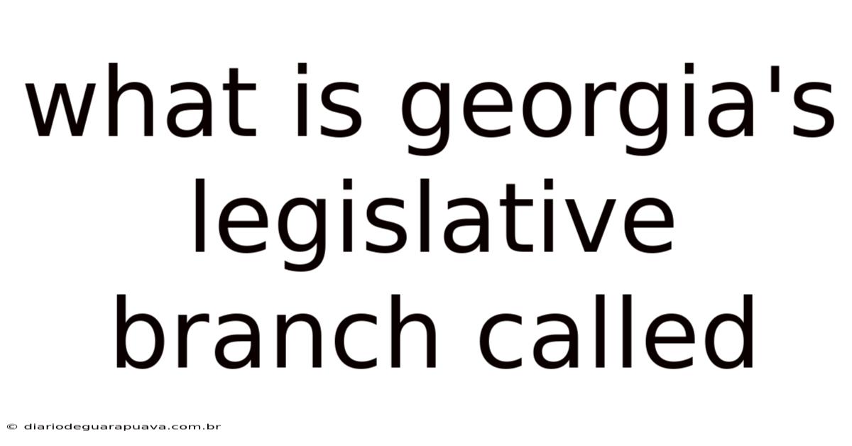 What Is Georgia's Legislative Branch Called