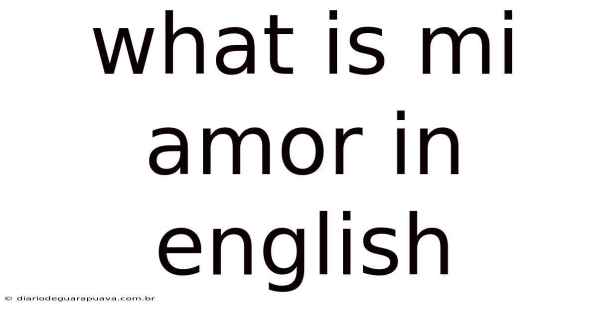 What Is Mi Amor In English