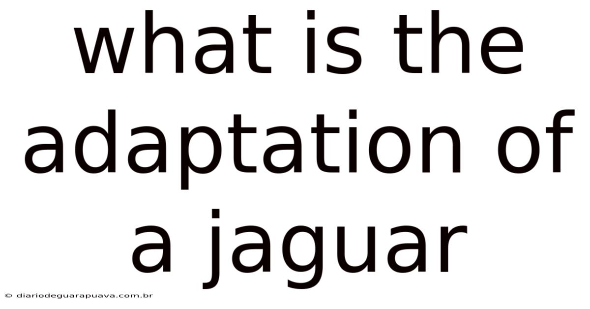 What Is The Adaptation Of A Jaguar