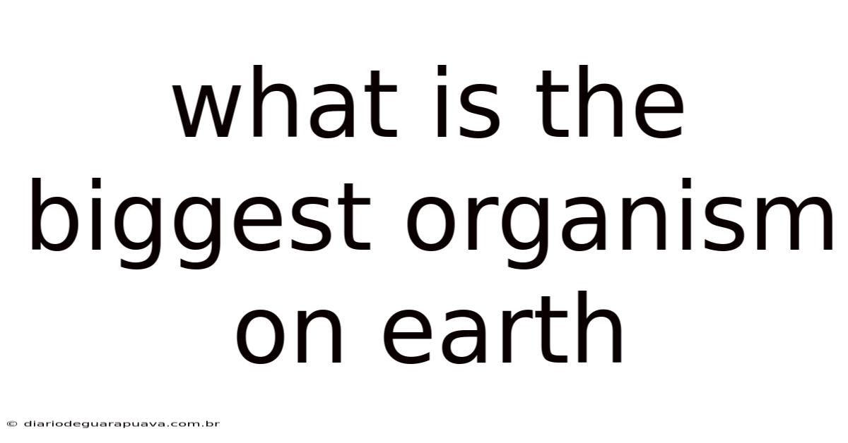 What Is The Biggest Organism On Earth