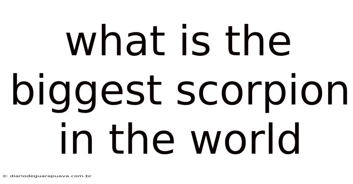 What Is The Biggest Scorpion In The World