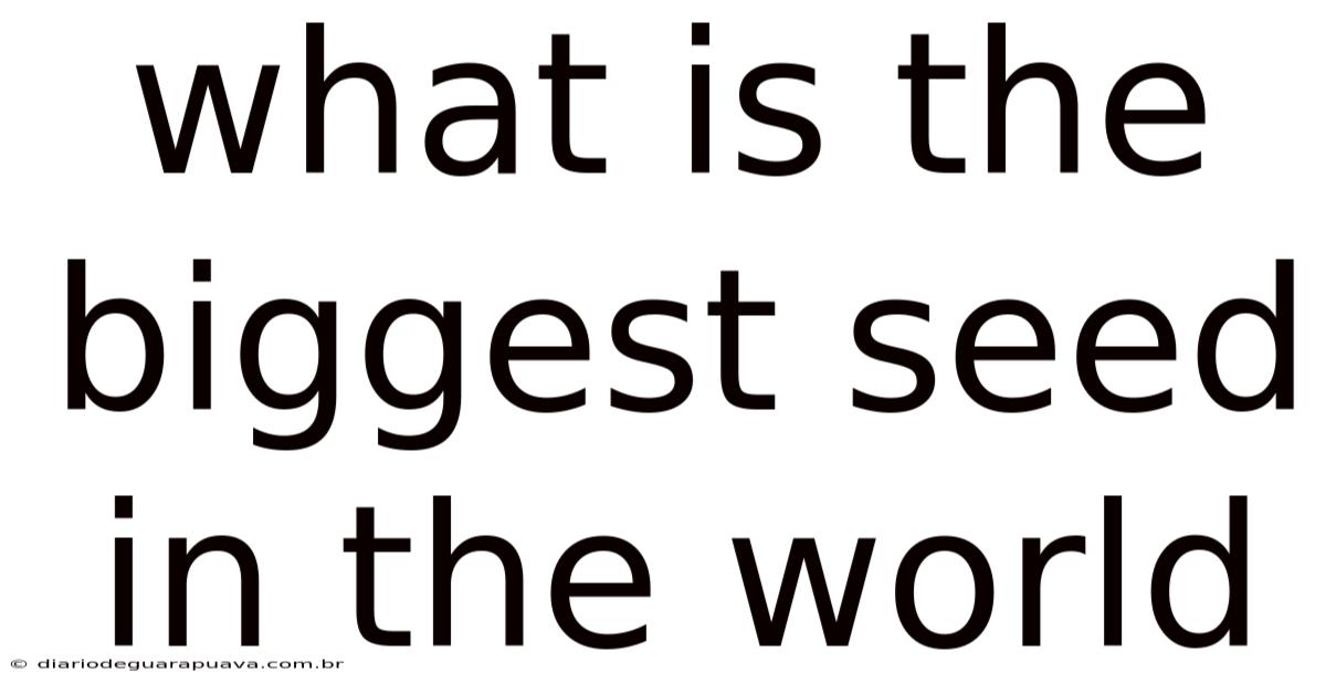 What Is The Biggest Seed In The World