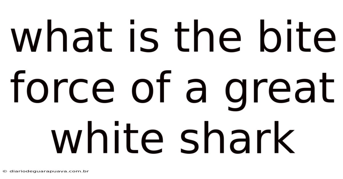 What Is The Bite Force Of A Great White Shark