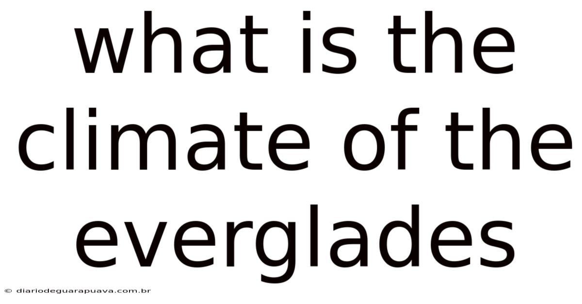 What Is The Climate Of The Everglades