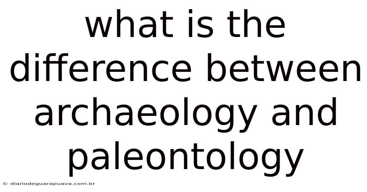 What Is The Difference Between Archaeology And Paleontology