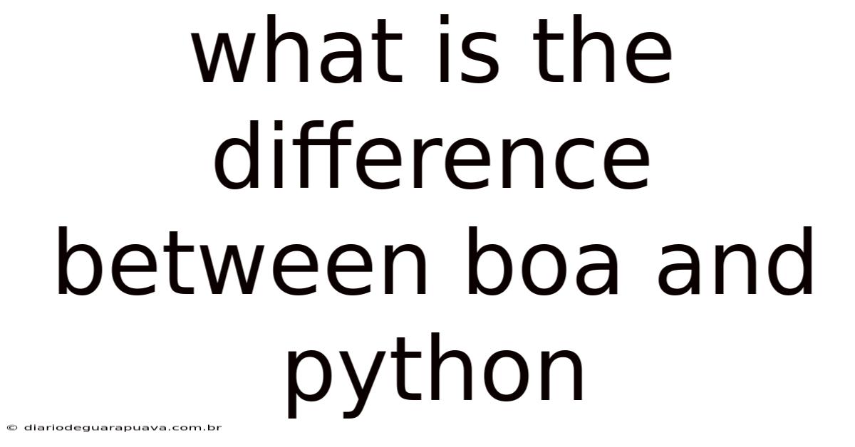 What Is The Difference Between Boa And Python