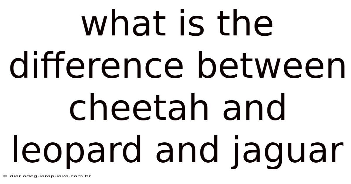 What Is The Difference Between Cheetah And Leopard And Jaguar