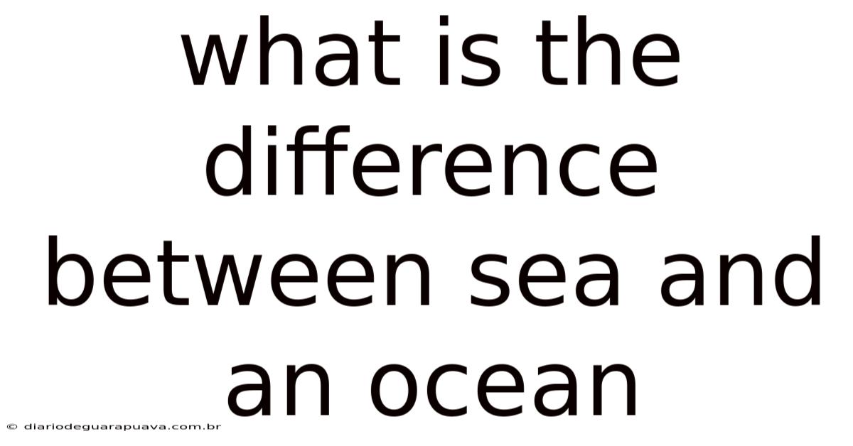 What Is The Difference Between Sea And An Ocean