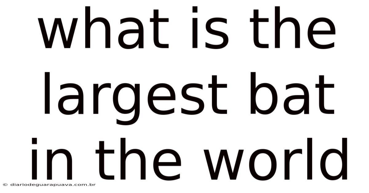 What Is The Largest Bat In The World