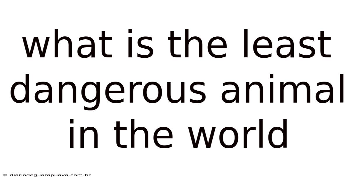 What Is The Least Dangerous Animal In The World