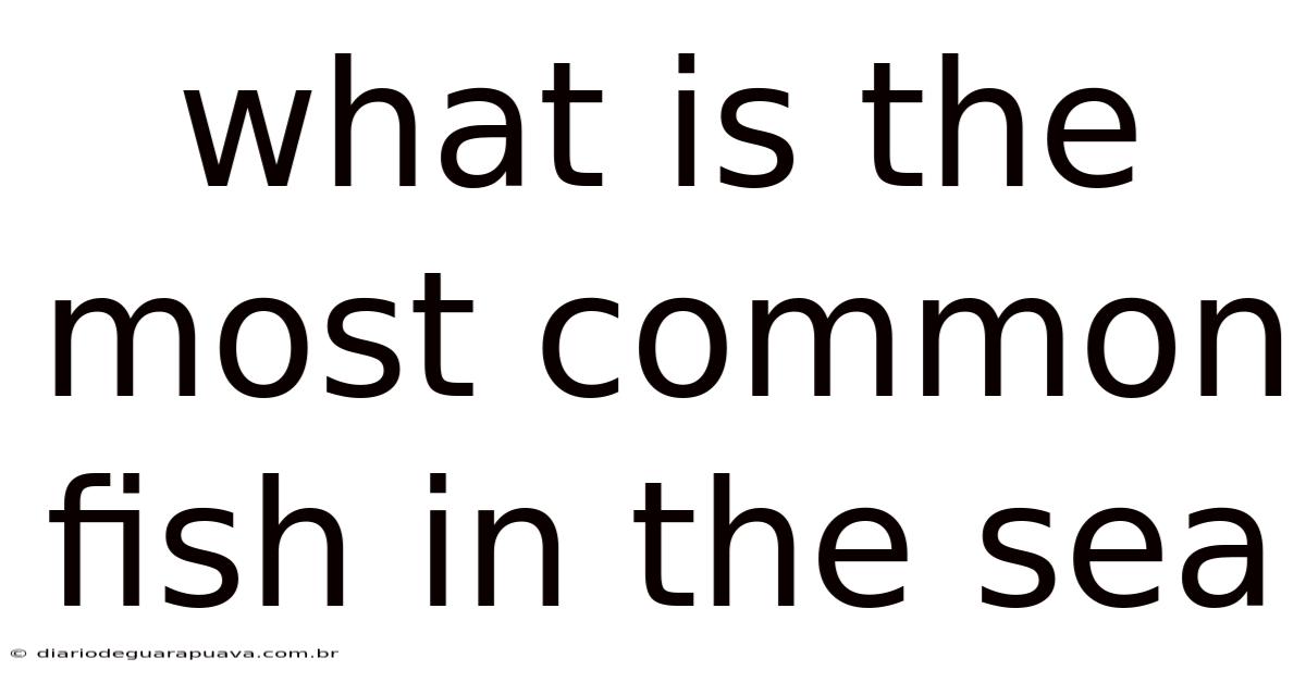 What Is The Most Common Fish In The Sea