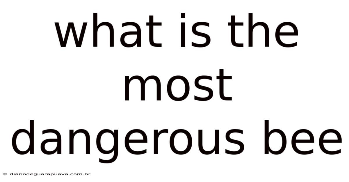 What Is The Most Dangerous Bee