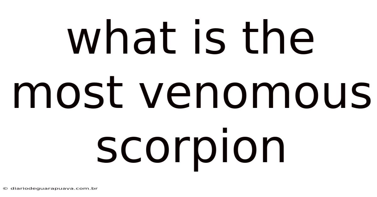 What Is The Most Venomous Scorpion