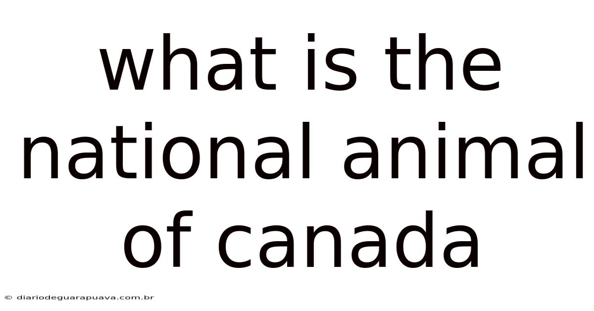 What Is The National Animal Of Canada