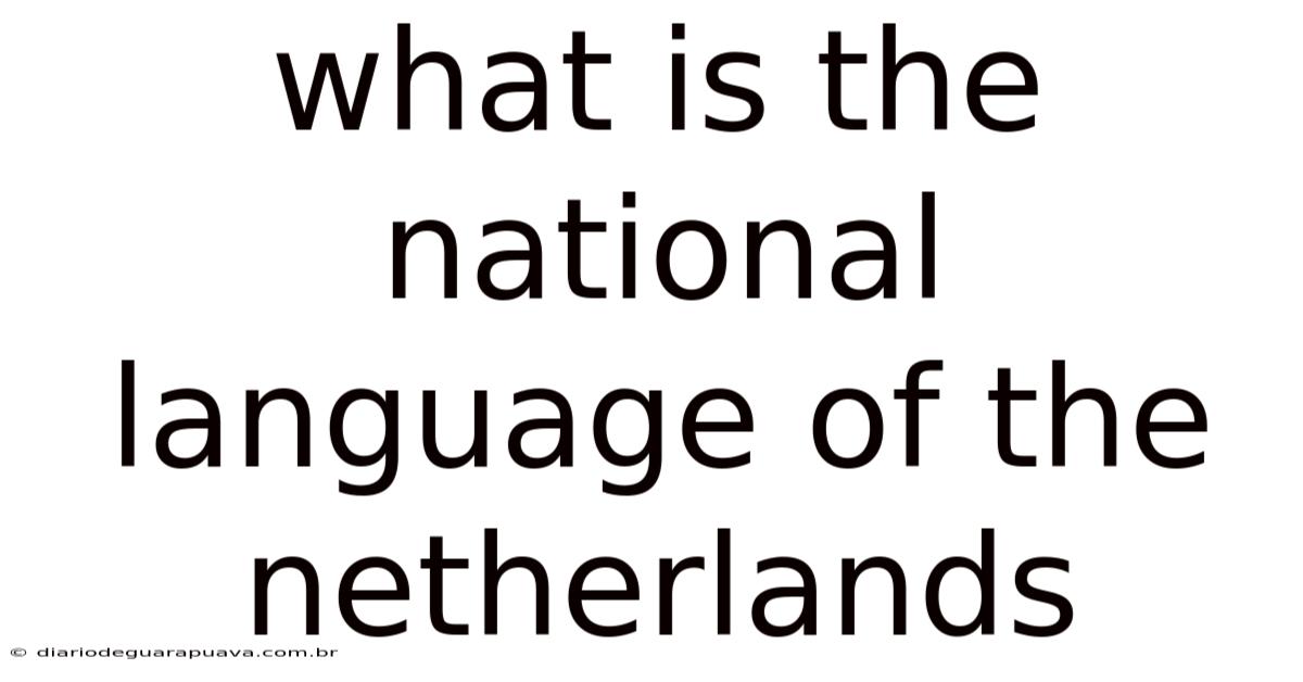 What Is The National Language Of The Netherlands
