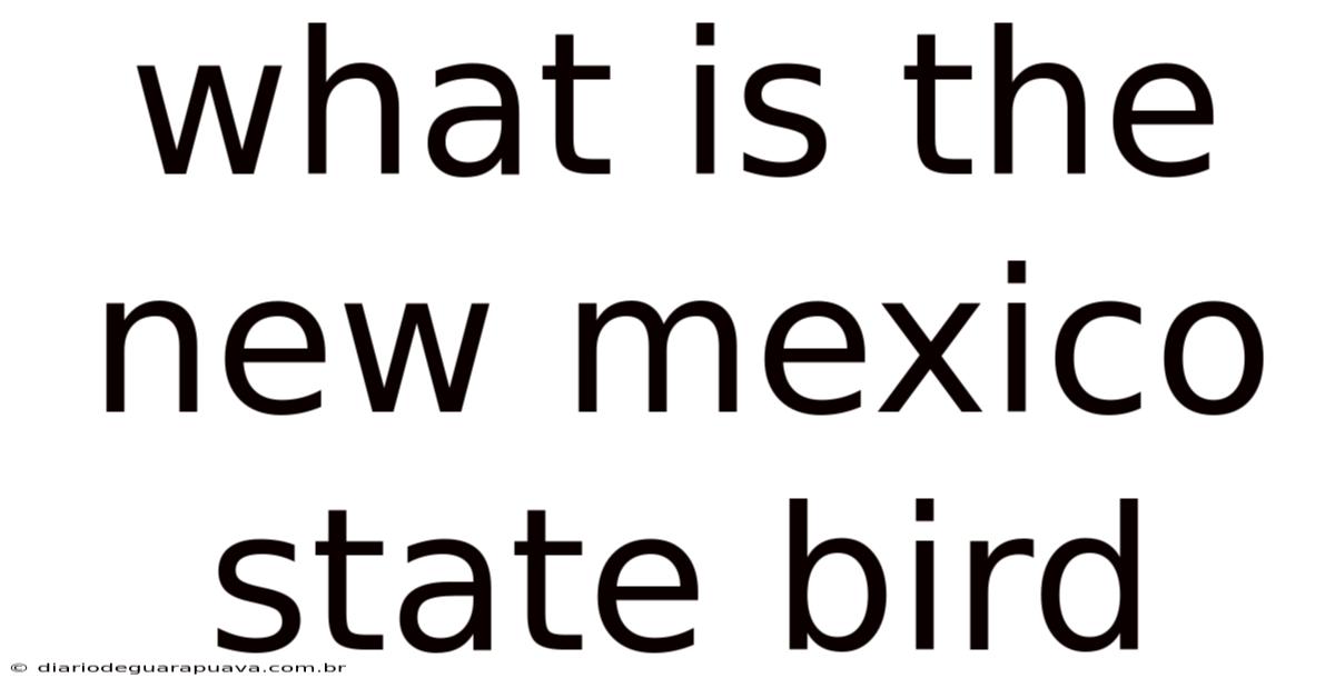 What Is The New Mexico State Bird