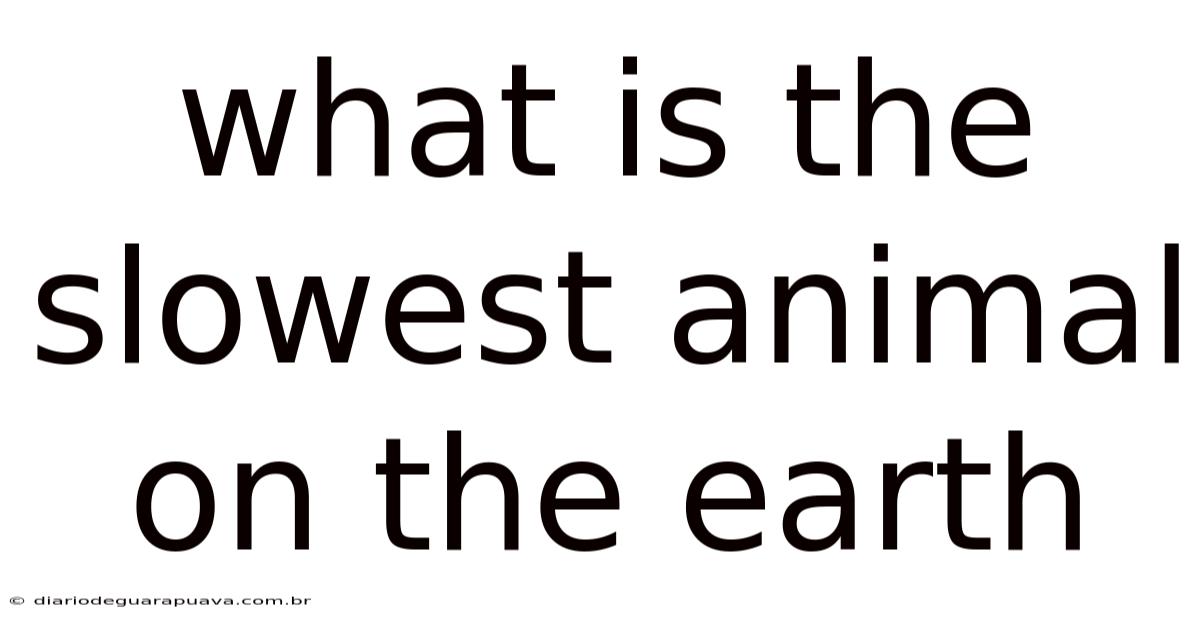 What Is The Slowest Animal On The Earth